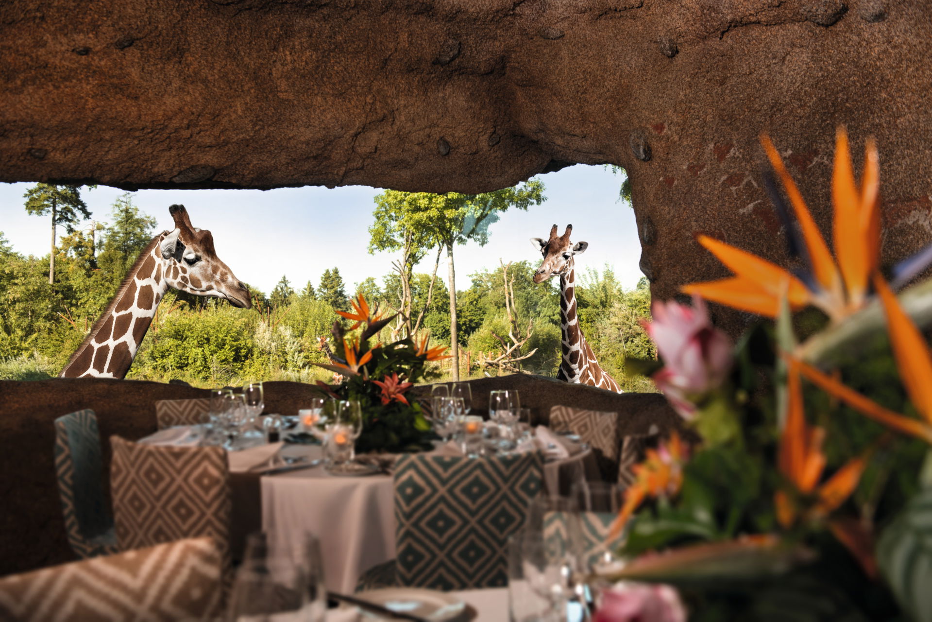 Blick in die Kifaru-Lounge in der Lewa Savanne des Zoo Zürich.