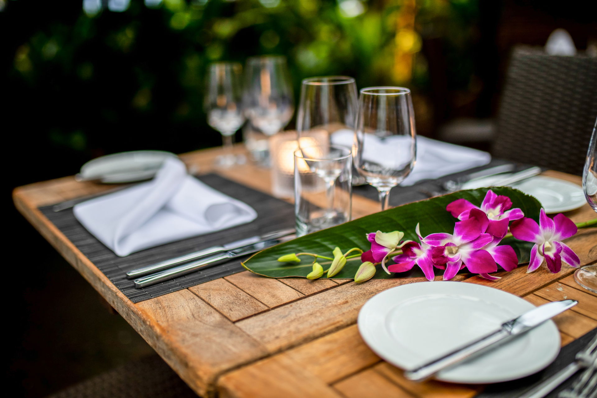 Stimmungsbild des Dinner-Erlebnisses Tropical Dinner im Zoo Zürich.