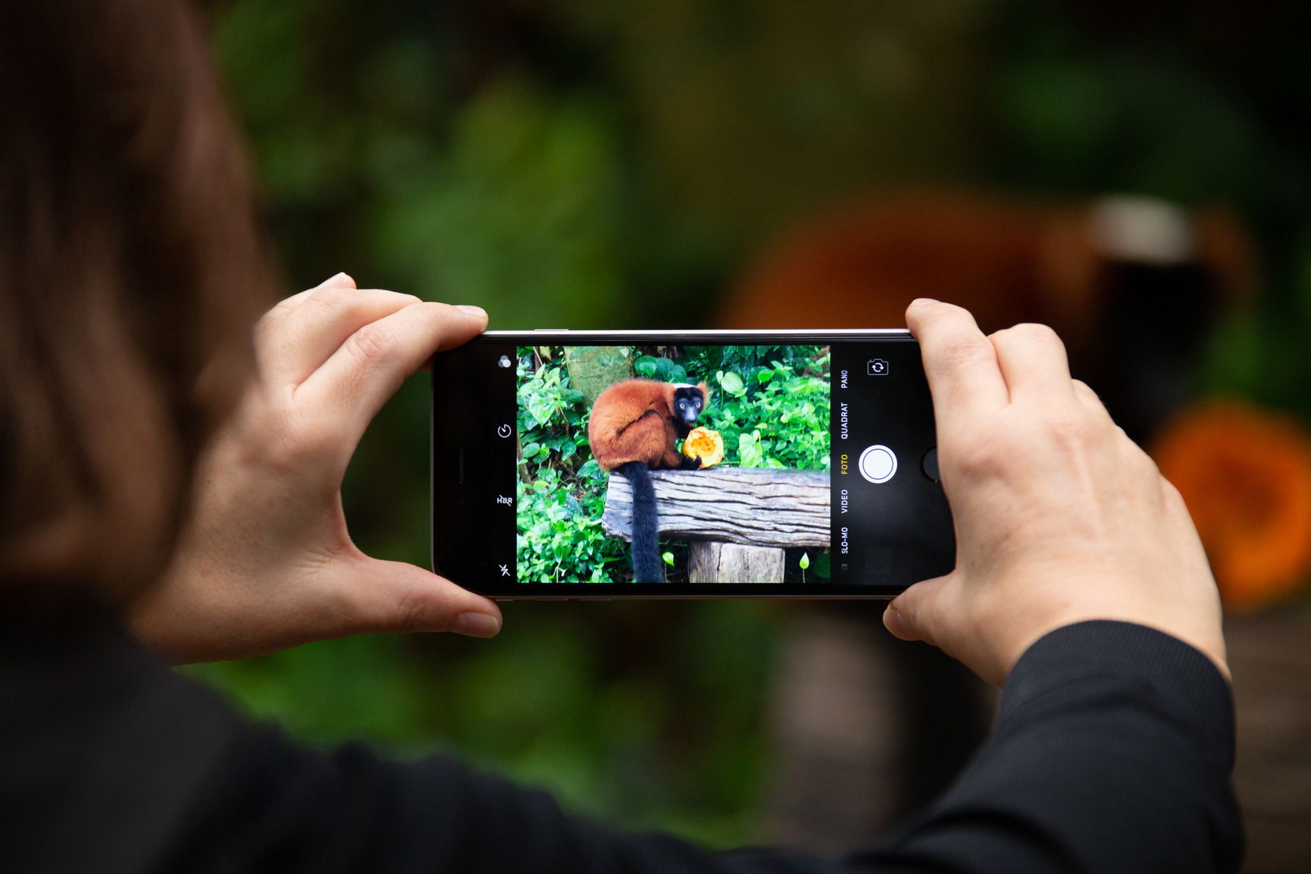 Bild für den Smartphone-Fotokurs des Zoo Zürich.