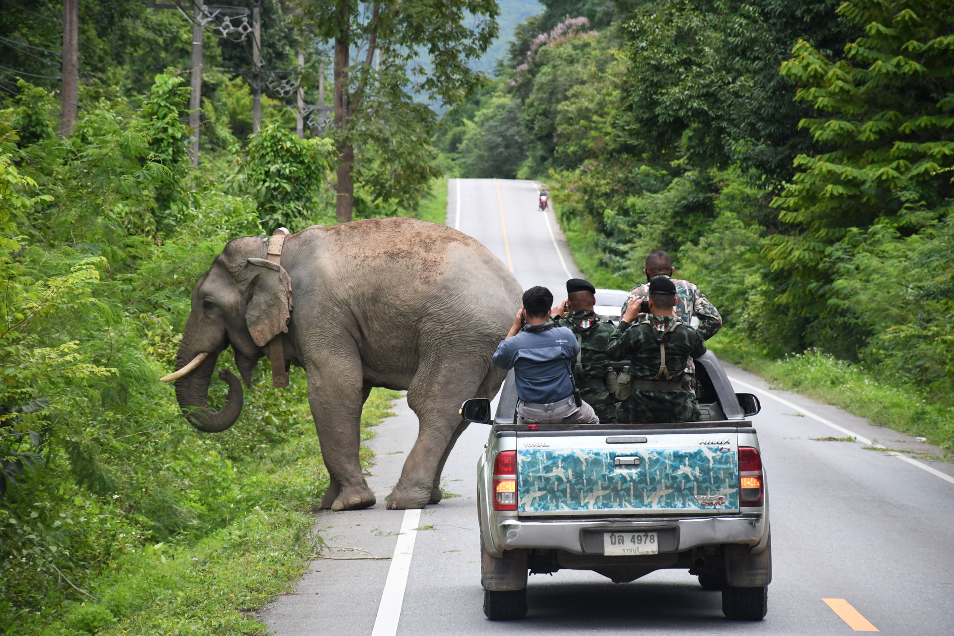 Einsatz des Elephant-Conflict-Teams am Rand des Kaeng Krachan Nationalparks in Thailand. Foto: WCS Thailand.