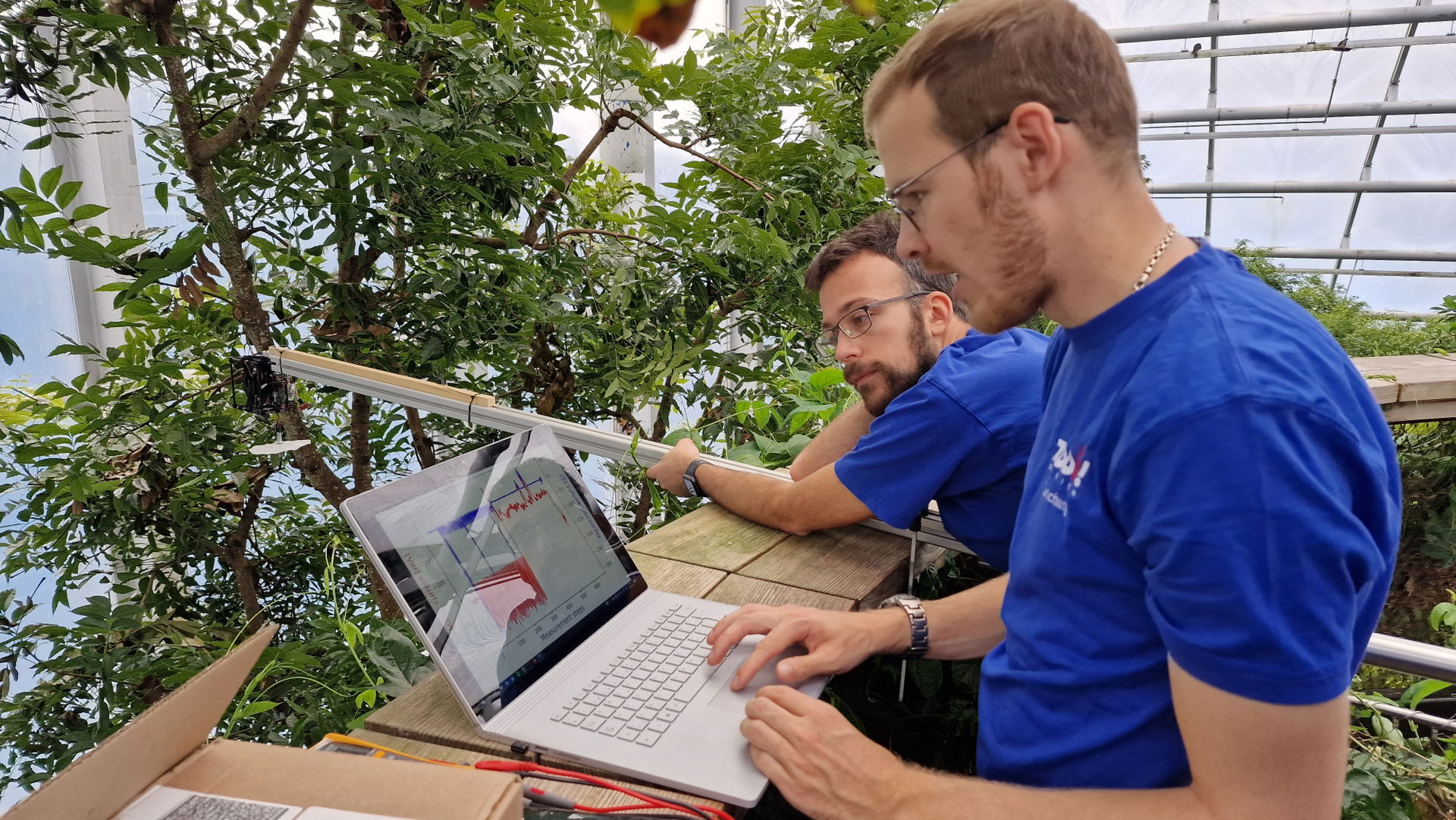 Forschungsprojekt ETH BiodivX im Masoala Regenwald des Zoo Zürich.