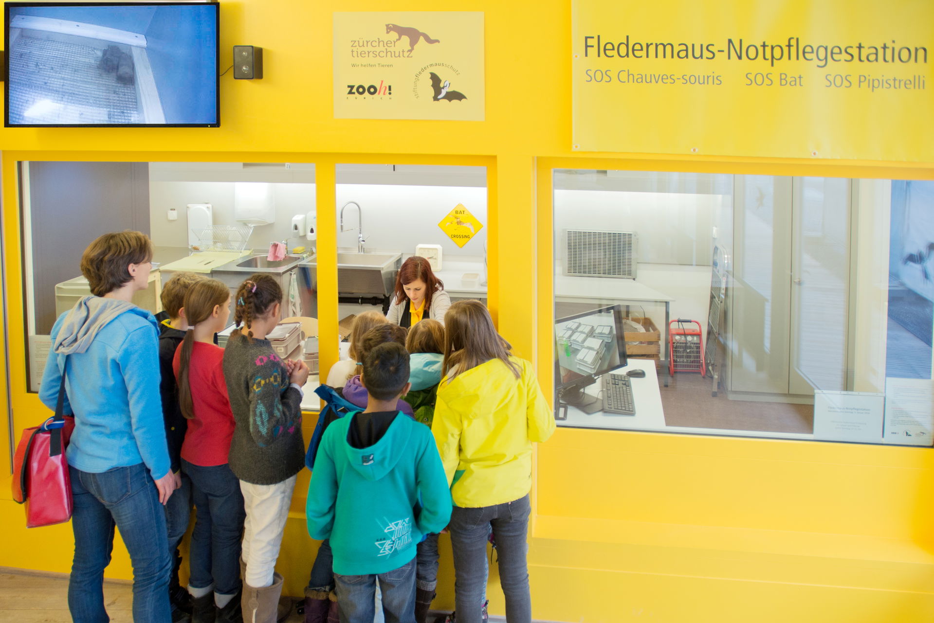 Gemeinsame Fledermaus-Notpflegestation der Stiftung Fledermausschutz, des Zürcher Tierschutzes und des Zoo Zürich.