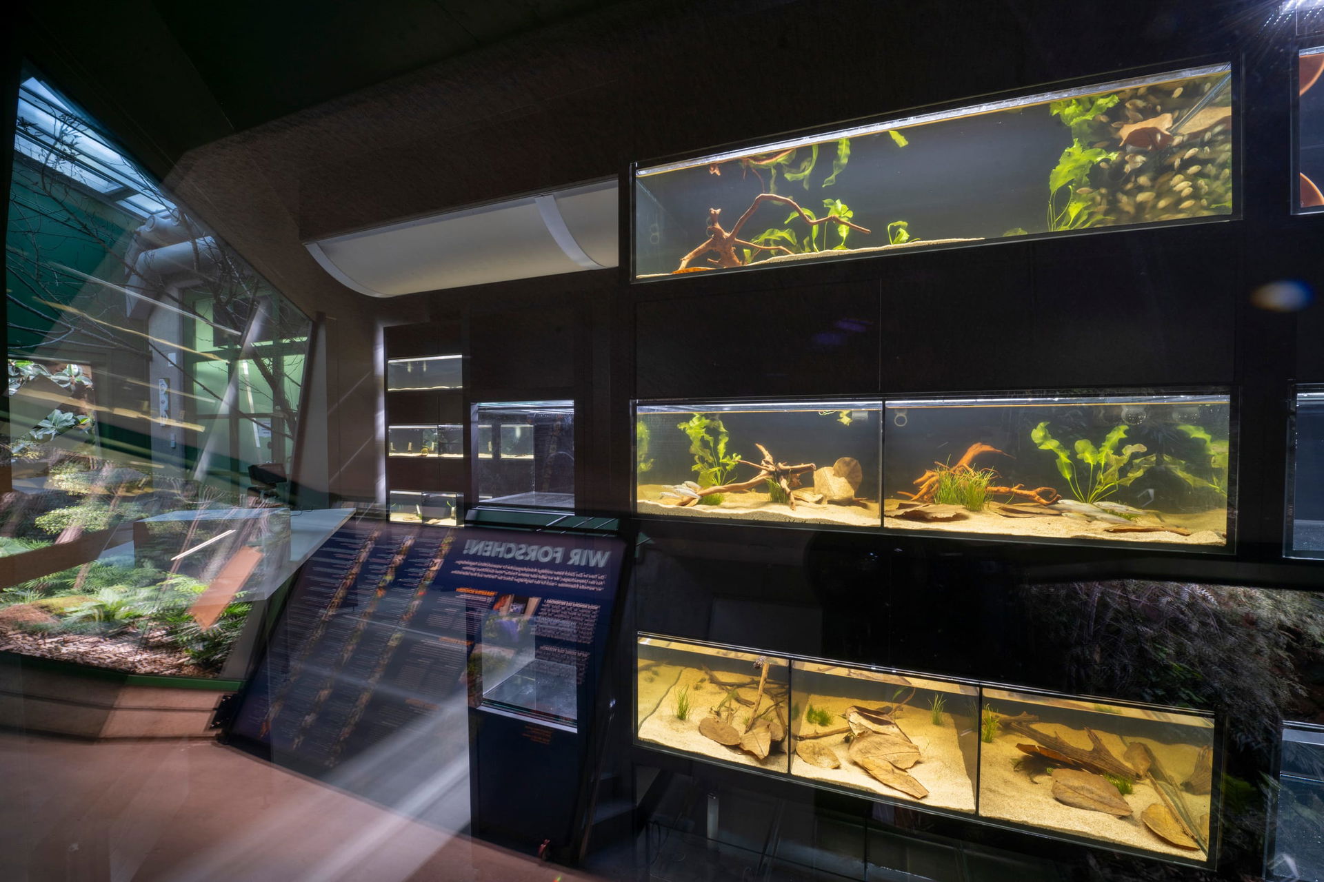 Blick in einen der Forschungsräume der Forschungsstation des Zoo Zürich.