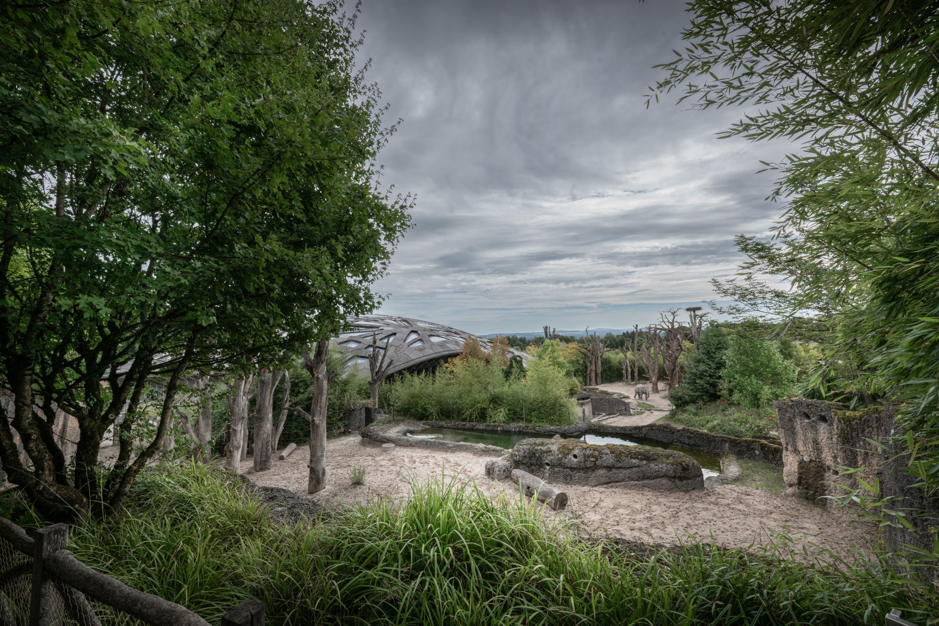 Blick auf den Kaeng Krachan Elefantenpark im Zoo Zürich.