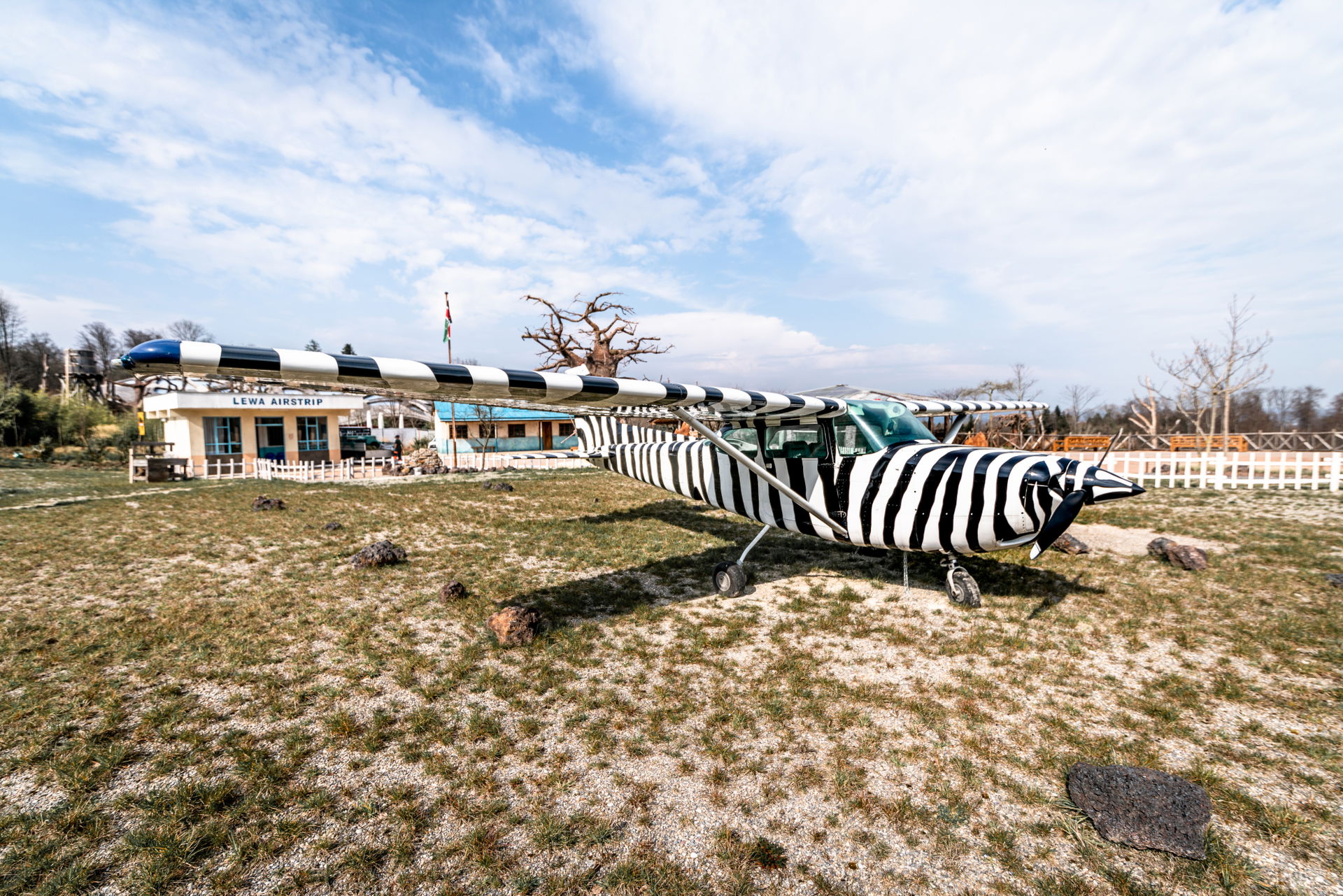 Flugzeug auf dem Lewa Airstrip in der Lewa Savanne des Zoo Zürich.