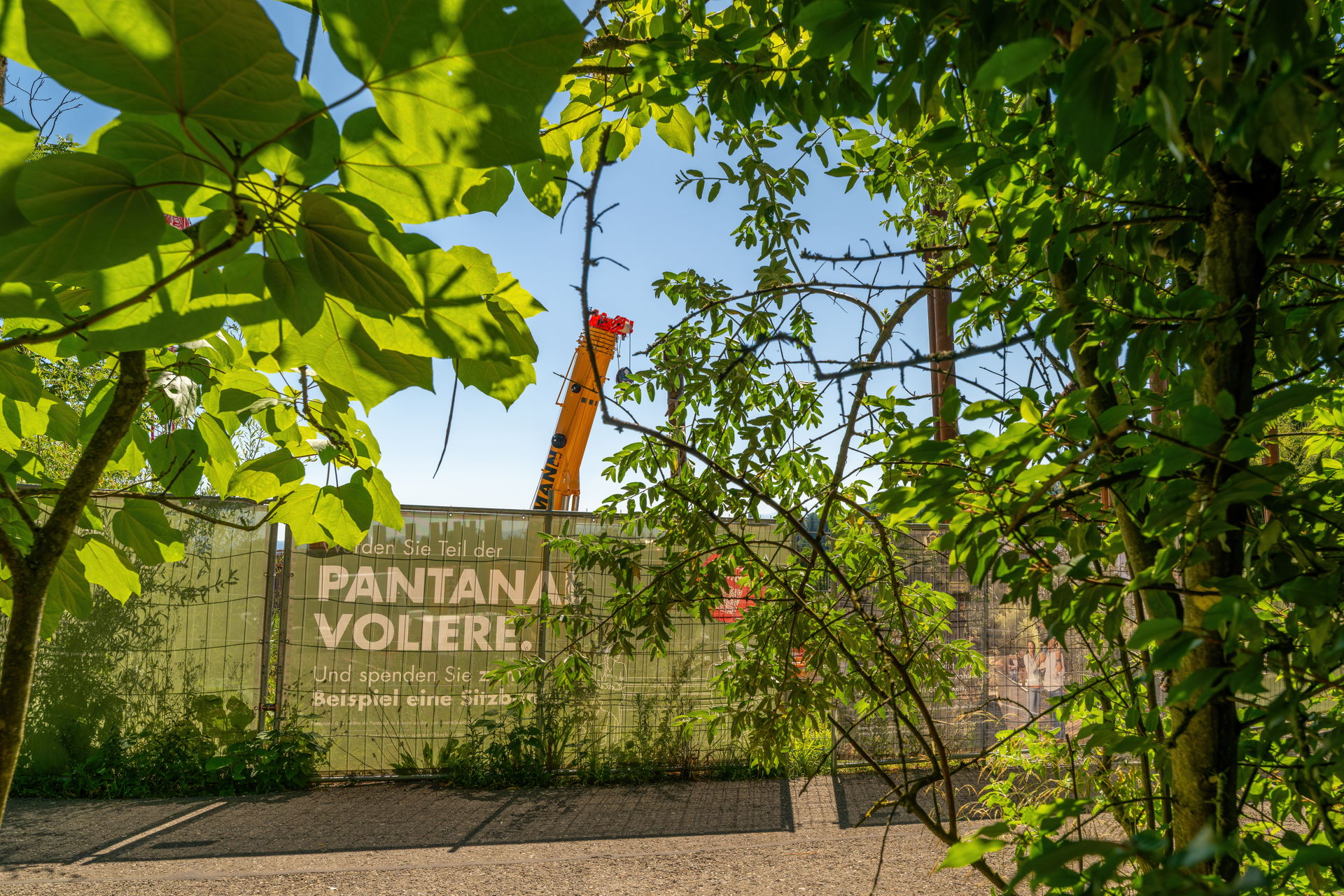 Baustelle für das Pantanal Feuchtgebiet im Zoo Zürich.