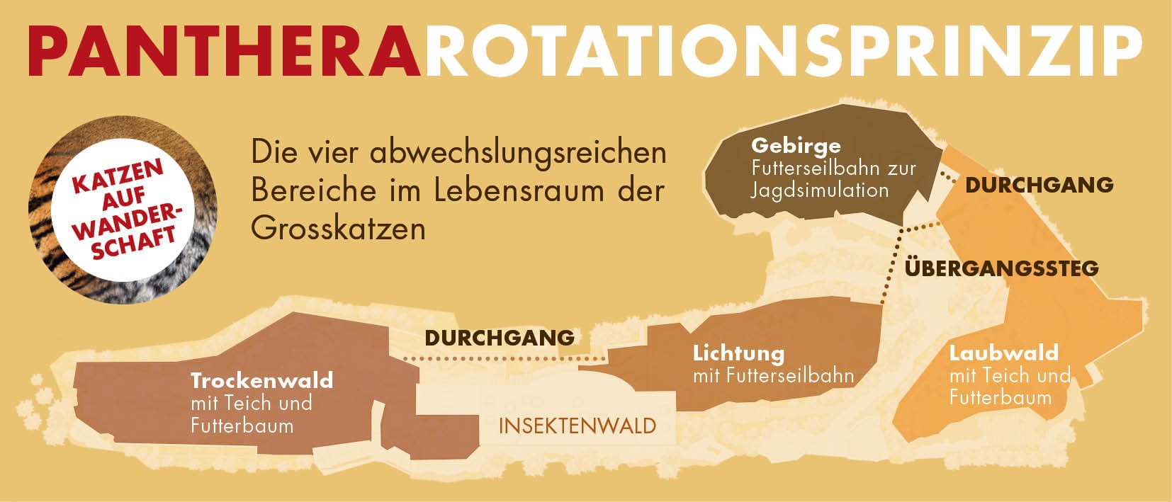 Visualisierung des Rotationsprinzips im Lebensraum Panthera des Zoo Zürich.
