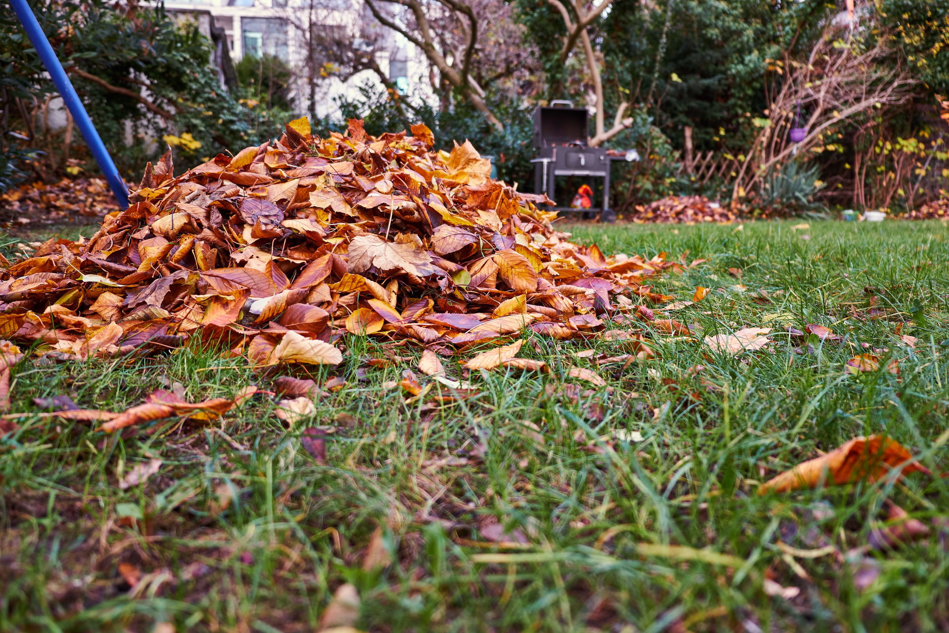 Symbolbild eines Laubhaufens im Garten. Bild: iStockphoto, 77pixels