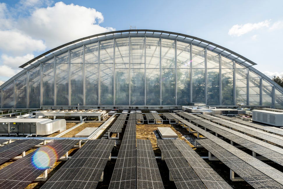 Die Photovoltaikanlage auf dem Dach des Naturschutzzentrums beim Masoala Regenwald liefert seit 2023 Strom. Foto: Zoo Zürich, Nick Soland
