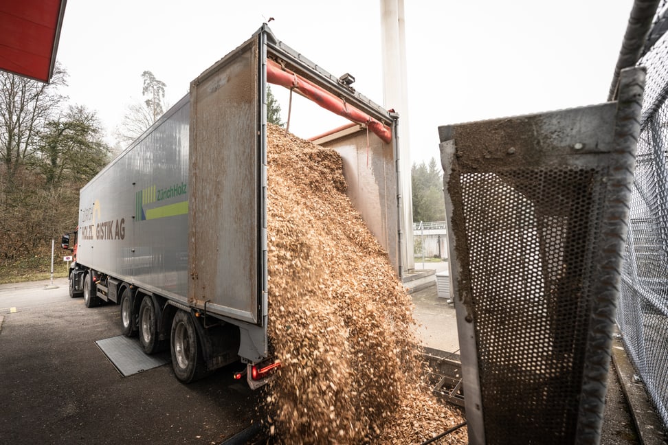 Rund 7000 Kubikmeter Holzschnitzel befeuern die Heizung des Zoos – und sparen bis zu 600'000 Liter Heizöl ein. Foto: Zoo Zürich, Marco Schaffner