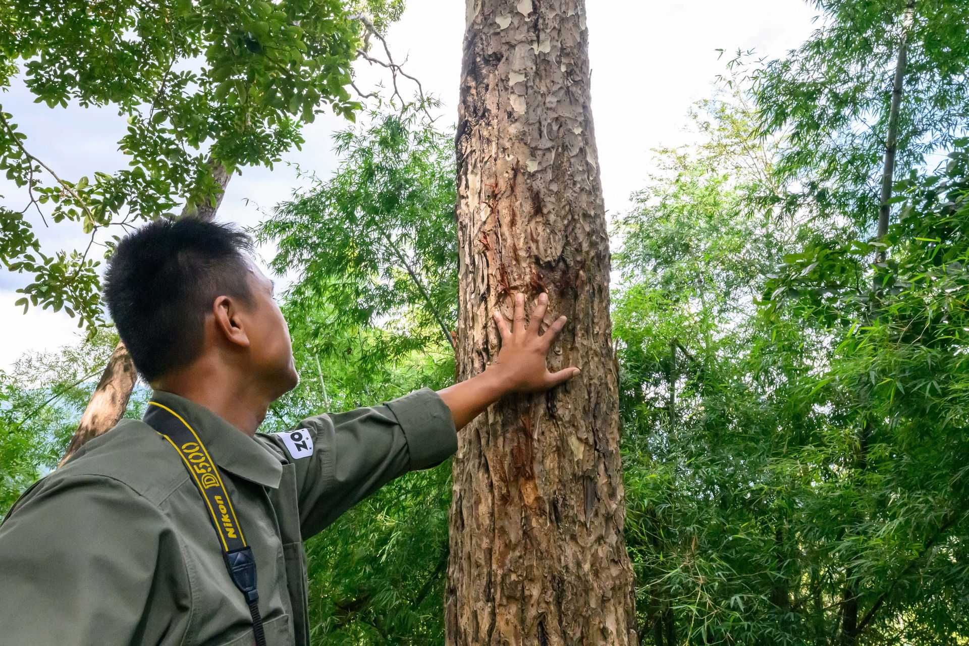 Manoon Pliosungnoen, Landschaftskoordinator im Kaeng-Krachan-Waldkomplex und Naturschutzbotschafter des Zoo Zürich.