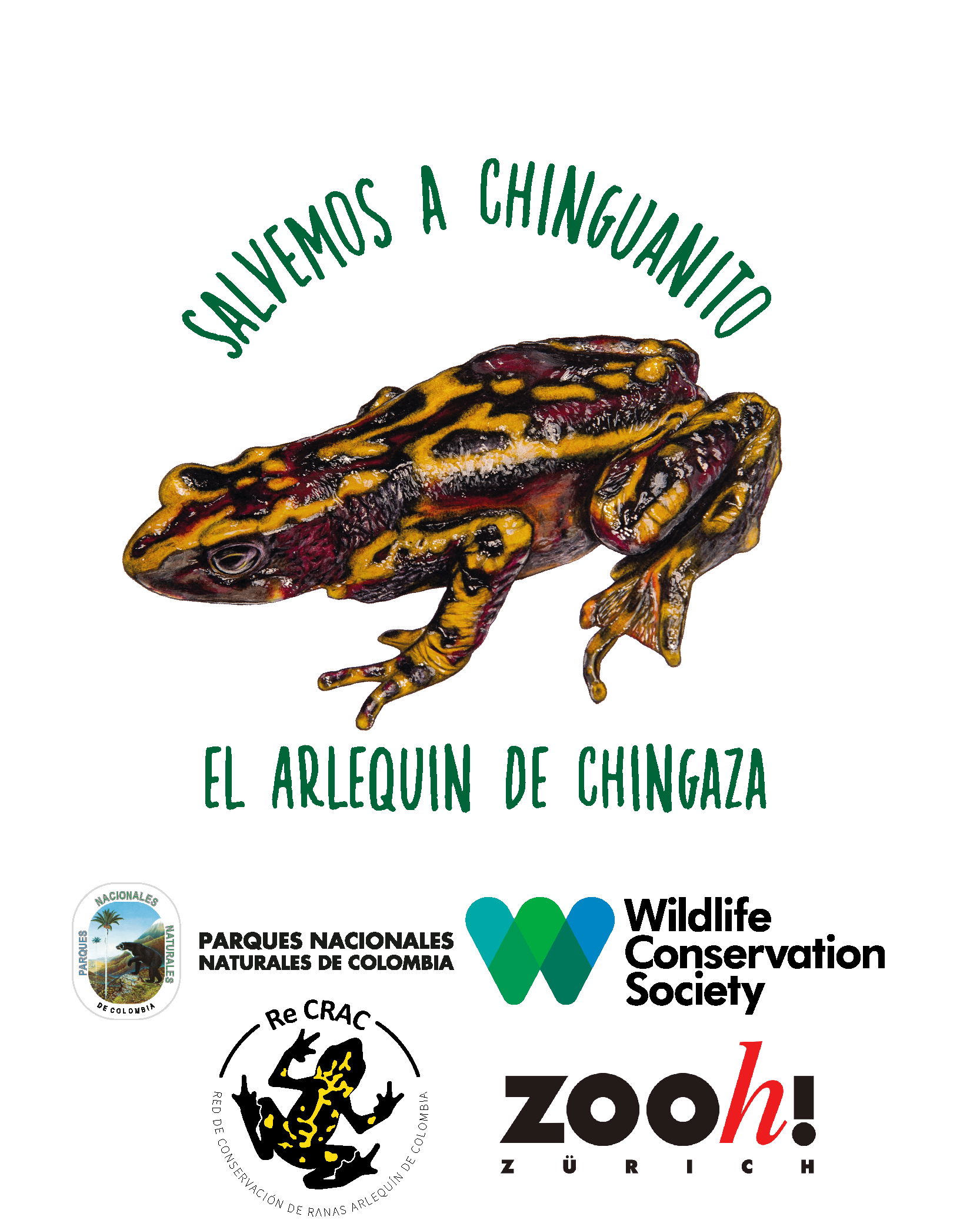 Plakat über Artenschutzprojekt in Kolumbien. Foto: Gustavo González, WCS Kolumbien.