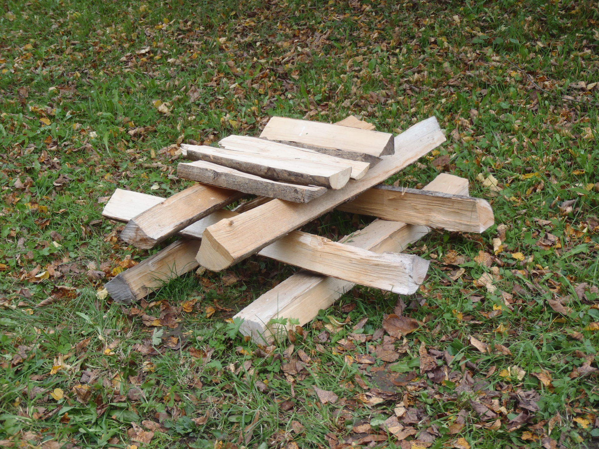 Holzscheite für ein Igel-Winterquartier. Copyright: Igelzentrum Zürich