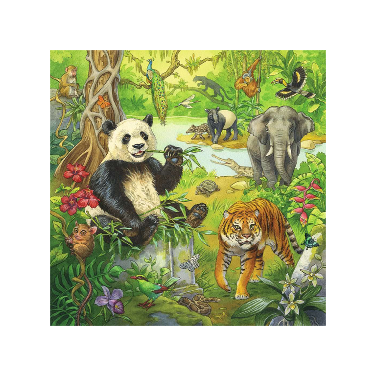 Puzzle Ravensburger Dans la jungle