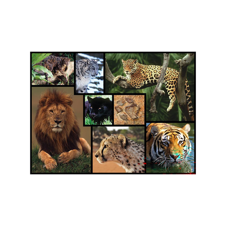 WWF Puzzle Wildkatzen